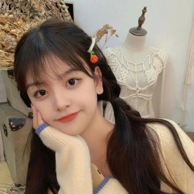 妙手小贼王 封面