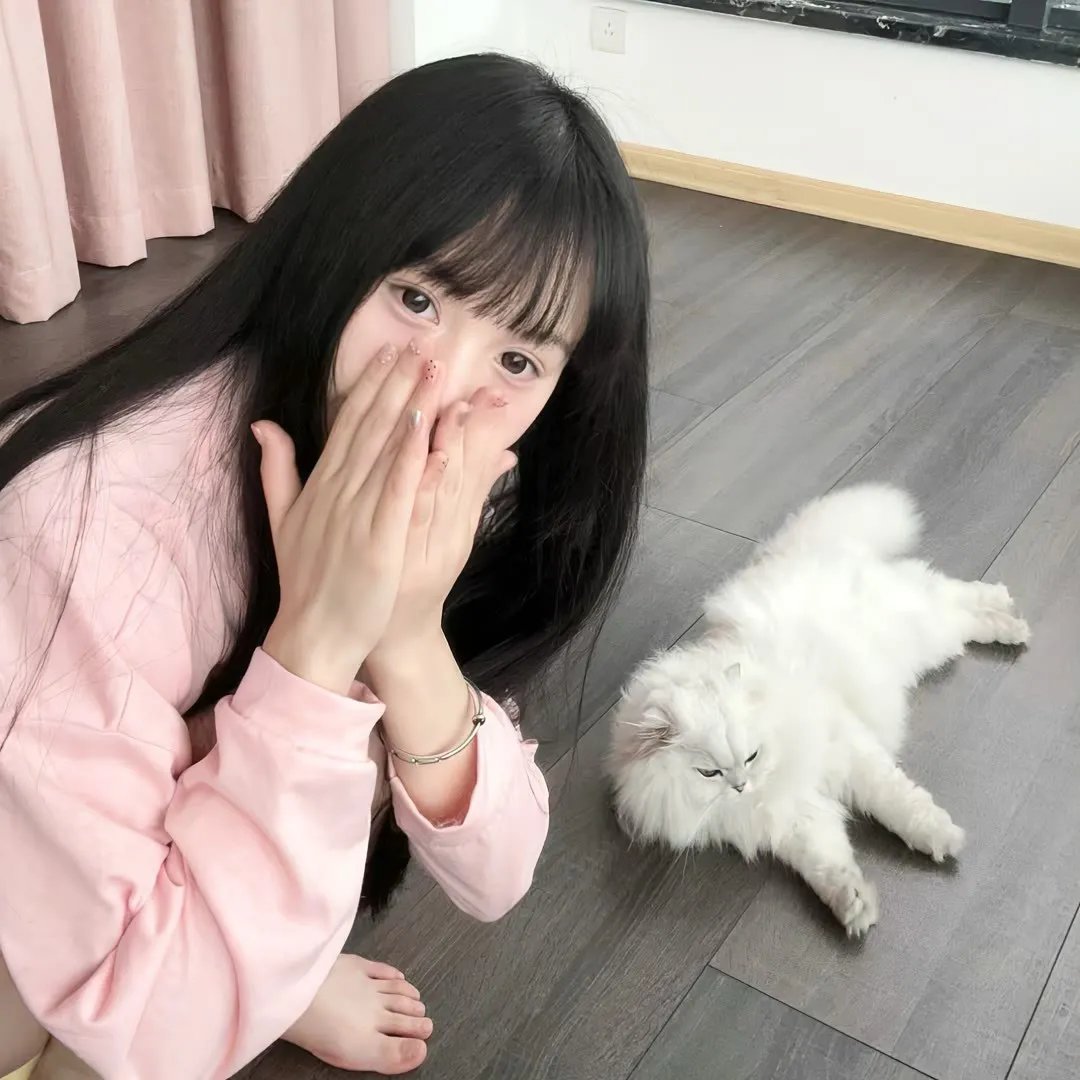 好莱坞巨猿 封面